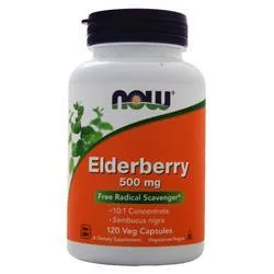 Now Elderberry Extract (500mg) 120 vcaps